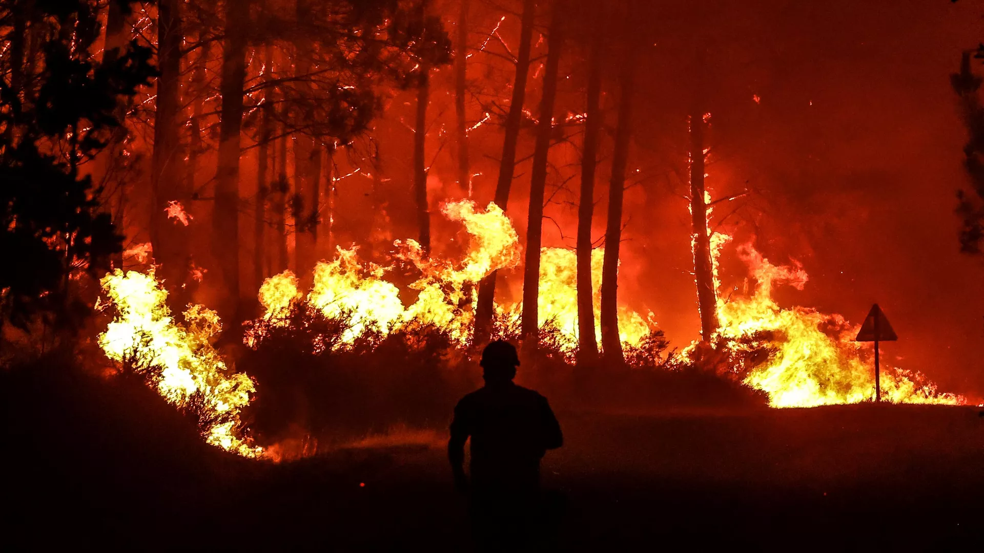 Предотвратим лесные пожары вместе!.